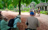 Banteay Chhmar temple Ox-cart - Taxi In Cambodia