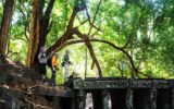 Beng Mealea temple - Taxi In Cambodia