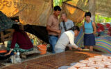 Spring Roll in Battambang - Taxi In Cambodia