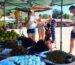 Skun Spider Market